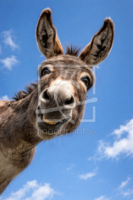 frei w&auml;hlbarer Bildausschnitt f&uuml;r Ihr Bild auf Kissen