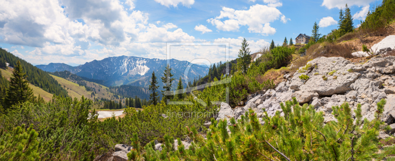 frei w&auml;hlbarer Bildausschnitt f&uuml;r Ihr Bild auf Kissen
