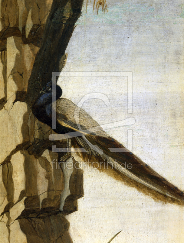 frei w&auml;hlbarer Bildausschnitt f&uuml;r Ihr Bild auf Kissen