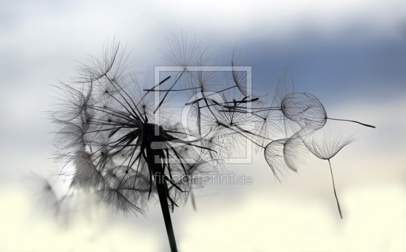 frei wählbarer Bildausschnitt für Ihr Bild auf Label