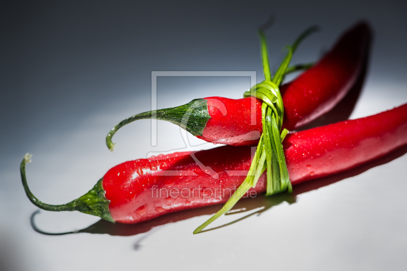 frei wählbarer Bildausschnitt für Ihr Bild auf Label