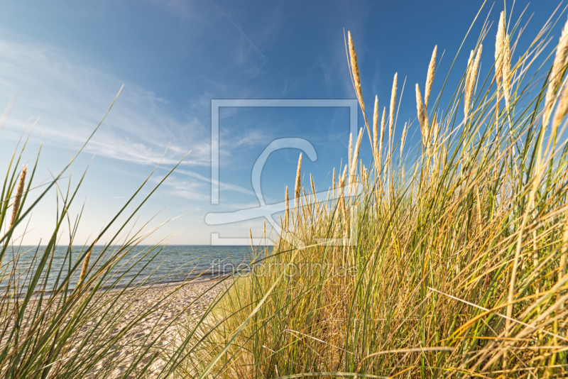 frei w&auml;hlbarer Bildausschnitt f&uuml;r Ihr Bild auf Label