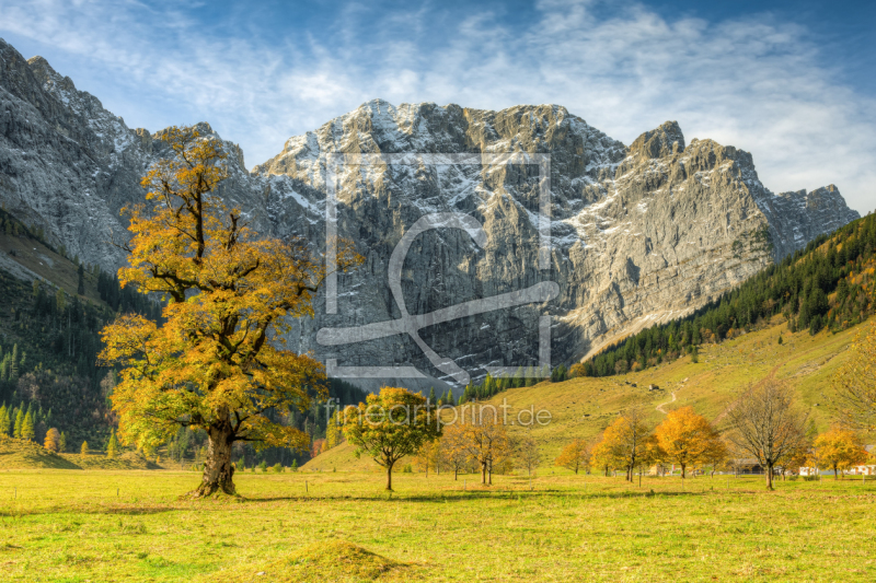 frei wählbarer Bildausschnitt für Ihr Bild auf Label