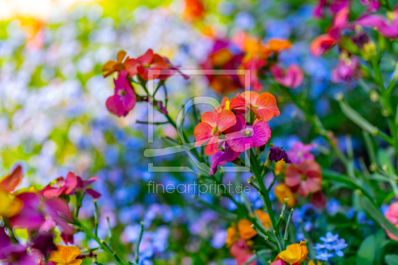 frei wählbarer Bildausschnitt für Ihr Bild auf Label