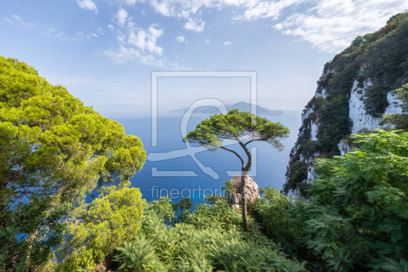 frei w&auml;hlbarer Bildausschnitt f&uuml;r Ihr Bild auf Label