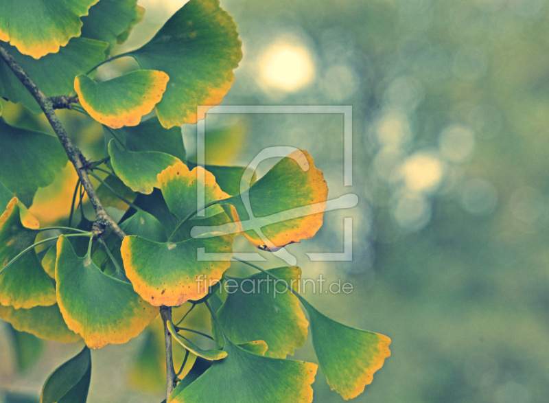 frei wählbarer Bildausschnitt für Ihr Bild auf Label