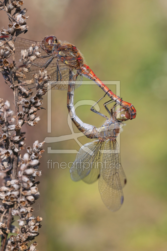 frei wählbarer Bildausschnitt für Ihr Bild auf Label