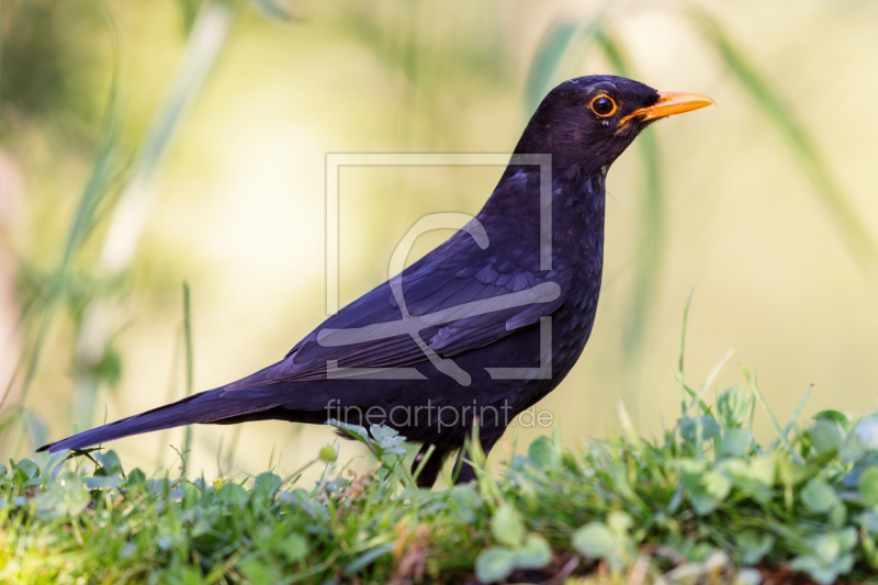 frei wählbarer Bildausschnitt für Ihr Bild auf Label