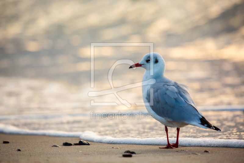frei w&auml;hlbarer Bildausschnitt f&uuml;r Ihr Bild auf Label