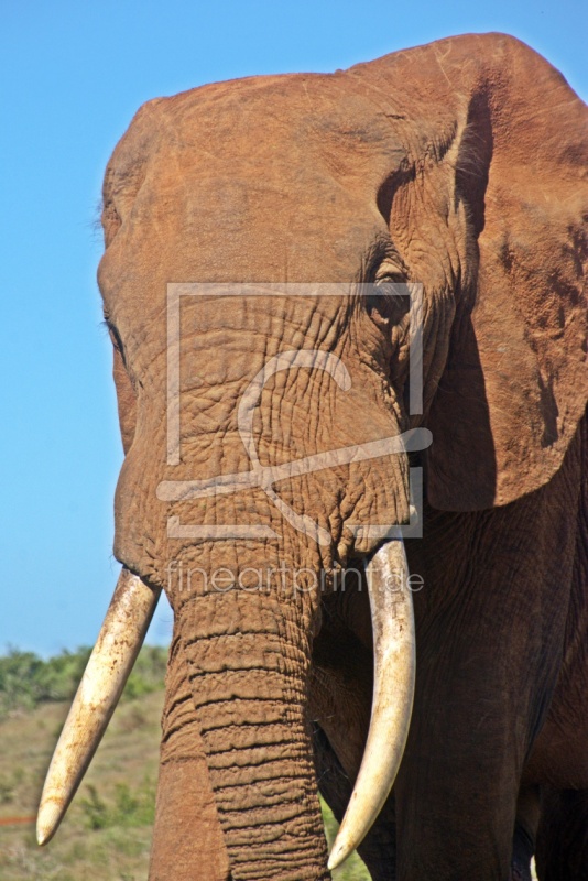 frei w&auml;hlbarer Bildausschnitt f&uuml;r Ihr Bild auf Label