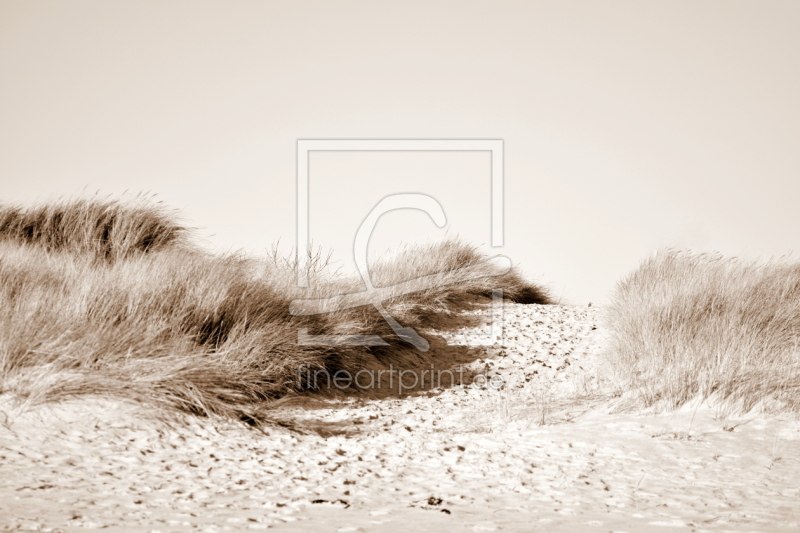 frei w&auml;hlbarer Bildausschnitt f&uuml;r Ihr Bild auf Label