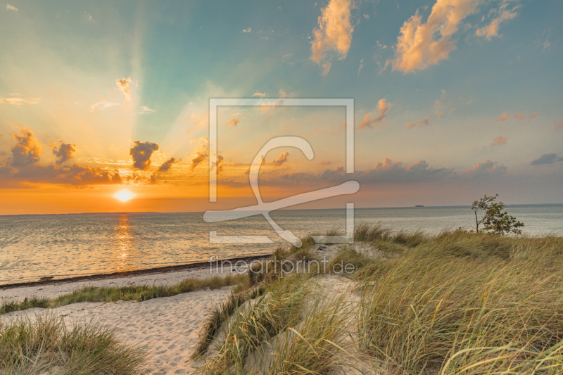 frei w&auml;hlbarer Bildausschnitt f&uuml;r Ihr Bild auf Label