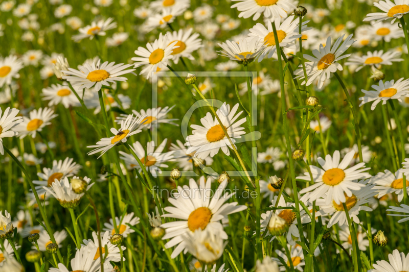 frei w&auml;hlbarer Bildausschnitt f&uuml;r Ihr Bild auf Label