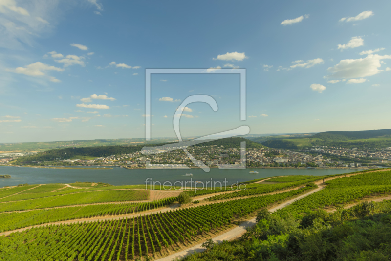 frei w&auml;hlbarer Bildausschnitt f&uuml;r Ihr Bild auf Label