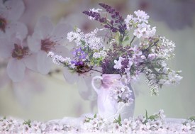 Romantik - 10048359 /leinwand/bigthumb/10048359.jpg