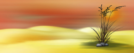 Summer - 10247959 /leinwand/bigthumb/10247959.jpg