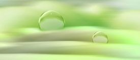 two drops - 10248691 /leinwand/bigthumb/10248691.jpg