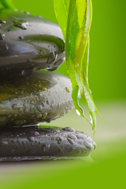 Wellness - 10324537 /leinwand/bigthumb/10324537.jpg