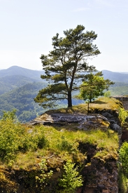 Neu-Scharfeneck - Plateau 48 - 10551337 /leinwand/bigthumb/10551337.jpg