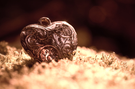 Heart - 10622088 /leinwand/bigthumb/10622088.jpg