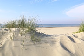 Baltrum Dünen & Meer - 11532888 /leinwand/bigthumb/11532888.jpg
