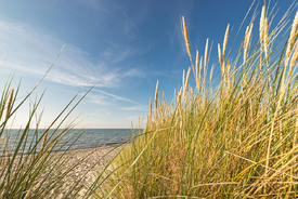 Durchblick zum Meer - 11562636 /leinwand/bigthumb/11562636.jpg