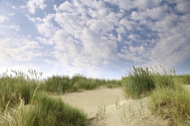 Dünen und Wolken - 11568778 /leinwand/bigthumb/11568778.jpg