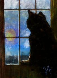 all cats are grey by night - 11580472 /leinwand/bigthumb/11580472.jpg