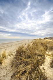 Sylt Südkap Dünen - 11718942 /leinwand/bigthumb/11718942.jpg