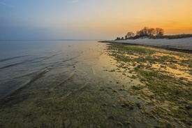BALTIC SEA - 11729512 /leinwand/bigthumb/11729512.jpg