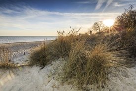 Ostseestrand im Abendlicht - 11733432 /leinwand/bigthumb/11733432.jpg