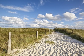 SOMMERURLAUB an der OSTSEE - 11796382 /leinwand/bigthumb/11796382.jpg