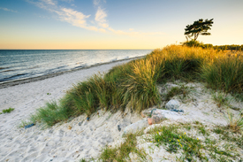 Sommerabend am Ostseestrand - 11811764 /leinwand/bigthumb/11811764.jpg