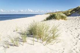 Sommer auf Sylt 2 - 11820857 /leinwand/bigthumb/11820857.jpg