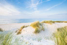 Sommer auf Sylt - 11828479 /leinwand/bigthumb/11828479.jpg