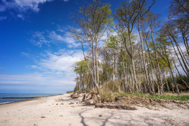 Naturstrand - 11905320 /leinwand/bigthumb/11905320.jpg
