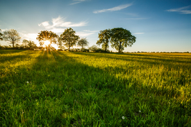 MAY LANDSCAPE - 11910477 /leinwand/bigthumb/11910477.jpg