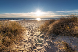 Lichtblick Ostsee - 11966033 /leinwand/bigthumb/11966033.jpg