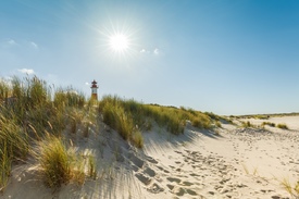 SYLT meine INSEL - 11969729 /leinwand/bigthumb/11969729.jpg