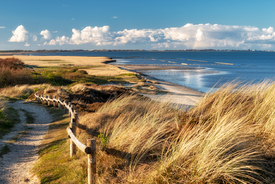 Natur pur auf Sylt - 11976432 /leinwand/bigthumb/11976432.jpg