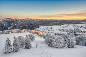 Winter im Schwarzwald - 12386403 /leinwand/bigthumb/12386403.jpg