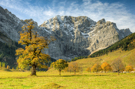 GroĂer Ahornboden in Ăsterreich - 12390749 /leinwand/bigthumb/12390749.jpg