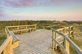 Aussichtsplattform auf Amrum Blick zum Leuchtturm - 12849753 /leinwand/bigthumb/12849753.jpg