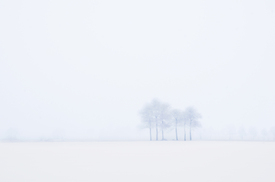 /leinwand/bigthumb/12851960.jpg