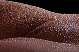 Drops - 9366806 /leinwand/bigthumb/9366806.jpg