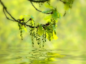 Wasserimpressionen - 9624500 /leinwand/bigthumb/9624500.jpg