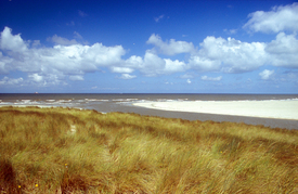 De Slufter auf Texel - 9727014 /leinwand/bigthumb/9727014.jpg