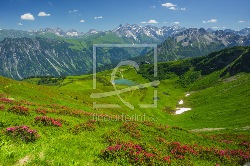 frei wählbarer Bildausschnitt für Ihr Bild auf Leinwand