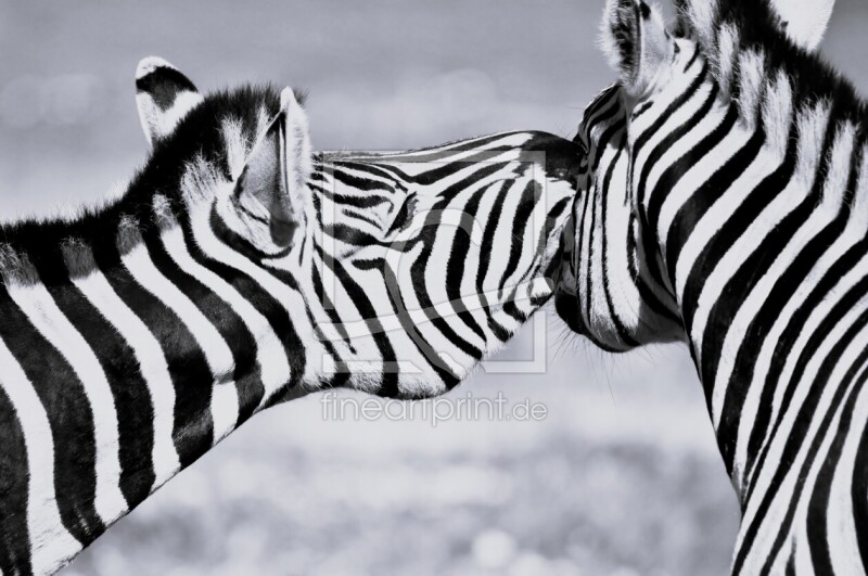 frei wählbarer Bildausschnitt für Ihr Bild auf Leinwand