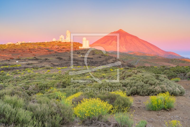 frei wählbarer Bildausschnitt für Ihr Bild auf Leinwand